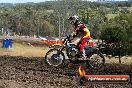 Champions Ride Days MotoX Broadford 08 12 2013 - 7CR_1520