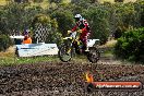 Champions Ride Days MotoX Broadford 08 12 2013 - 7CR_1522