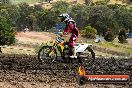 Champions Ride Days MotoX Broadford 08 12 2013 - 7CR_1524