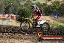 Champions Ride Days MotoX Broadford 08 12 2013 - 7CR_1525