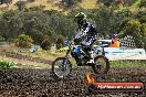 Champions Ride Days MotoX Broadford 08 12 2013 - 7CR_1528