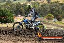 Champions Ride Days MotoX Broadford 08 12 2013 - 7CR_1529