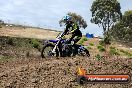 Champions Ride Days MotoX Broadford 08 12 2013 - 7CR_1696