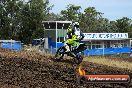 Champions Ride Days MotoX Broadford 08 12 2013 - 7CR_1733