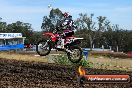 Champions Ride Days MotoX Broadford 08 12 2013 - 7CR_1737