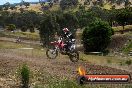 Champions Ride Days MotoX Broadford 08 12 2013 - 7CR_1747