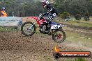 Champions Ride Days MotoX Broadford 08 12 2013 - 7CR_1817