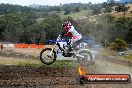 Champions Ride Days MotoX Broadford 08 12 2013 - 7CR_1939