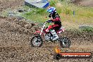 Champions Ride Days MotoX Broadford 08 12 2013 - 7CR_2042