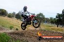 Champions Ride Days MotoX Broadford 08 12 2013 - 7CR_2192