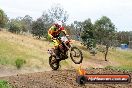 Champions Ride Days MotoX Broadford 08 12 2013 - 7CR_2219