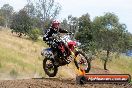 Champions Ride Days MotoX Broadford 08 12 2013 - 7CR_2240