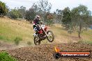 Champions Ride Days MotoX Broadford 08 12 2013 - 7CR_2347