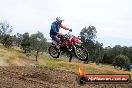 Champions Ride Days MotoX Broadford 08 12 2013 - 7CR_2424