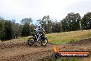 Champions Ride Days MotoX Broadford 08 12 2013 - 7CR_2467