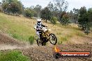 Champions Ride Days MotoX Broadford 08 12 2013 - 7CR_2544