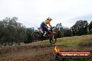 Champions Ride Days MotoX Broadford 08 12 2013 - 7CR_2617