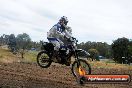 Champions Ride Days MotoX Broadford 08 12 2013 - 7CR_2729