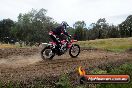 Champions Ride Days MotoX Broadford 08 12 2013 - 7CR_2749