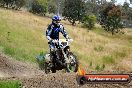 Champions Ride Days MotoX Broadford 08 12 2013 - 7CR_2778