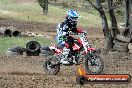 Champions Ride Days MotoX Broadford 08 12 2013 - 7CR_3018