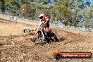 Champions Ride Day MotorX Broadford 27 01 2014 - CR0_8433