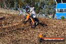 Champions Ride Day MotorX Broadford 27 01 2014 - CR0_8455