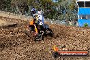 Champions Ride Day MotorX Broadford 27 01 2014 - CR0_8456