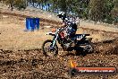 Champions Ride Day MotorX Broadford 27 01 2014 - CR0_8487