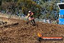 Champions Ride Day MotorX Broadford 27 01 2014 - CR0_8529