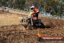 Champions Ride Day MotorX Broadford 27 01 2014 - CR0_8531