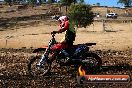 Champions Ride Day MotorX Broadford 27 01 2014 - CR0_8535