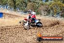 Champions Ride Day MotorX Broadford 27 01 2014 - CR0_8730