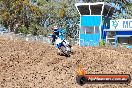 Champions Ride Day MotorX Broadford 27 01 2014 - CR0_8862