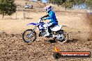 Champions Ride Day MotorX Broadford 27 01 2014 - CR0_8868