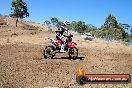 Champions Ride Day MotorX Broadford 27 01 2014 - CR1_0251