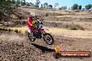 Champions Ride Day MotorX Broadford 27 01 2014 - CR1_0334