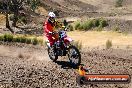 Champions Ride Day MotorX Broadford 27 01 2014 - CR1_0757