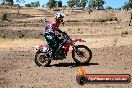 Champions Ride Day MotorX Broadford 27 01 2014 - CR1_0905