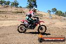 Champions Ride Day MotorX Broadford 27 01 2014 - CR1_0906