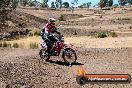 Champions Ride Day MotorX Broadford 27 01 2014 - CR1_0931