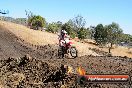 Champions Ride Day MotorX Broadford 27 01 2014 - CR1_1159