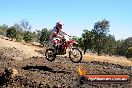 Champions Ride Day MotorX Broadford 27 01 2014 - CR1_1161