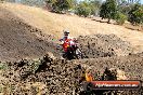 Champions Ride Day MotorX Broadford 27 01 2014 - CR1_1308