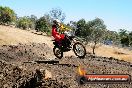 Champions Ride Day MotorX Broadford 27 01 2014 - CR1_1317