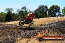 Champions Ride Day MotorX Broadford 27 01 2014 - CR1_1322