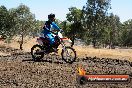 Champions Ride Day MotorX Broadford 27 01 2014 - CR1_1333