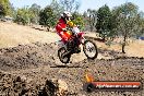 Champions Ride Day MotorX Broadford 27 01 2014 - CR1_1341