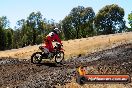 Champions Ride Day MotorX Broadford 27 01 2014 - CR1_1347