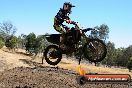 Champions Ride Day MotorX Broadford 27 01 2014 - CR1_1358